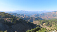 IMG_0880