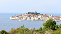 IMG_1157