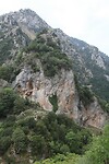 IMG_6185