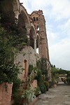 IMG_6275