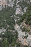 IMG_6287