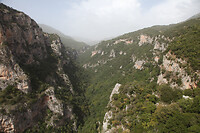 IMG_6293