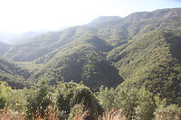 IMG_6320