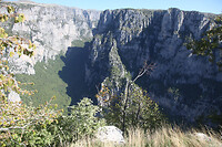 IMG_6421