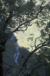 IMG_6430