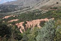IMG_6469