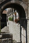 IMG_6574