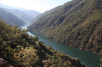 IMG_6582