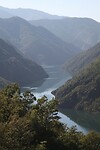 IMG_6584