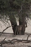 IMG_6690