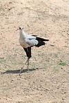 IMG_6783