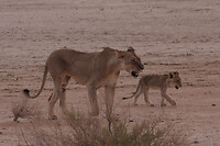 IMG_6818-2