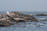 IMG_6862