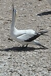 IMG_6897