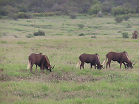IMG_1604