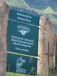 IMG_1702
