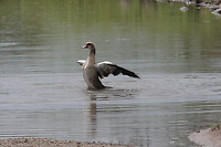 IMG_7051