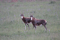 IMG_7068