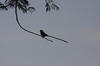 IMG_7164