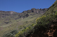 IMG_7272