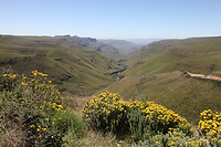 IMG_7275