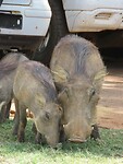IMG_1765