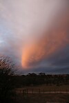IMG_7545