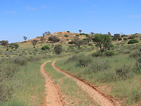 IMG_1884