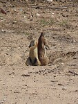 IMG_1894