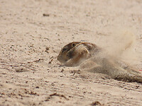 IMG_1936