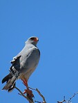 IMG_1993