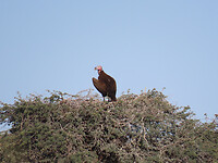 IMG_2007