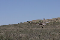 IMG_7191