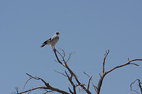 IMG_7281