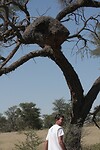 IMG_7514