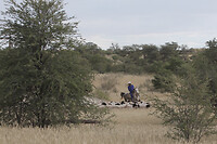 IMG_7582