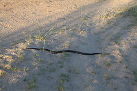 IMG_7622 kl