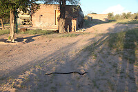 IMG_7623 kl