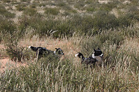 IMG_7839