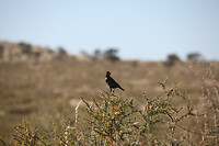 IMG_7852