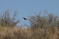 IMG_7895
