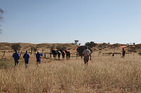 IMG_7990