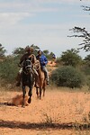 IMG_8086