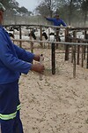 IMG_8105