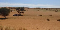IMG-20200411-WA0002