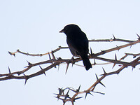 IMG_1908