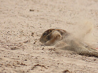 IMG_1936