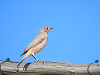 IMG_1943