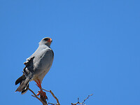IMG_1993