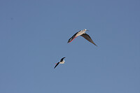 IMG_7218